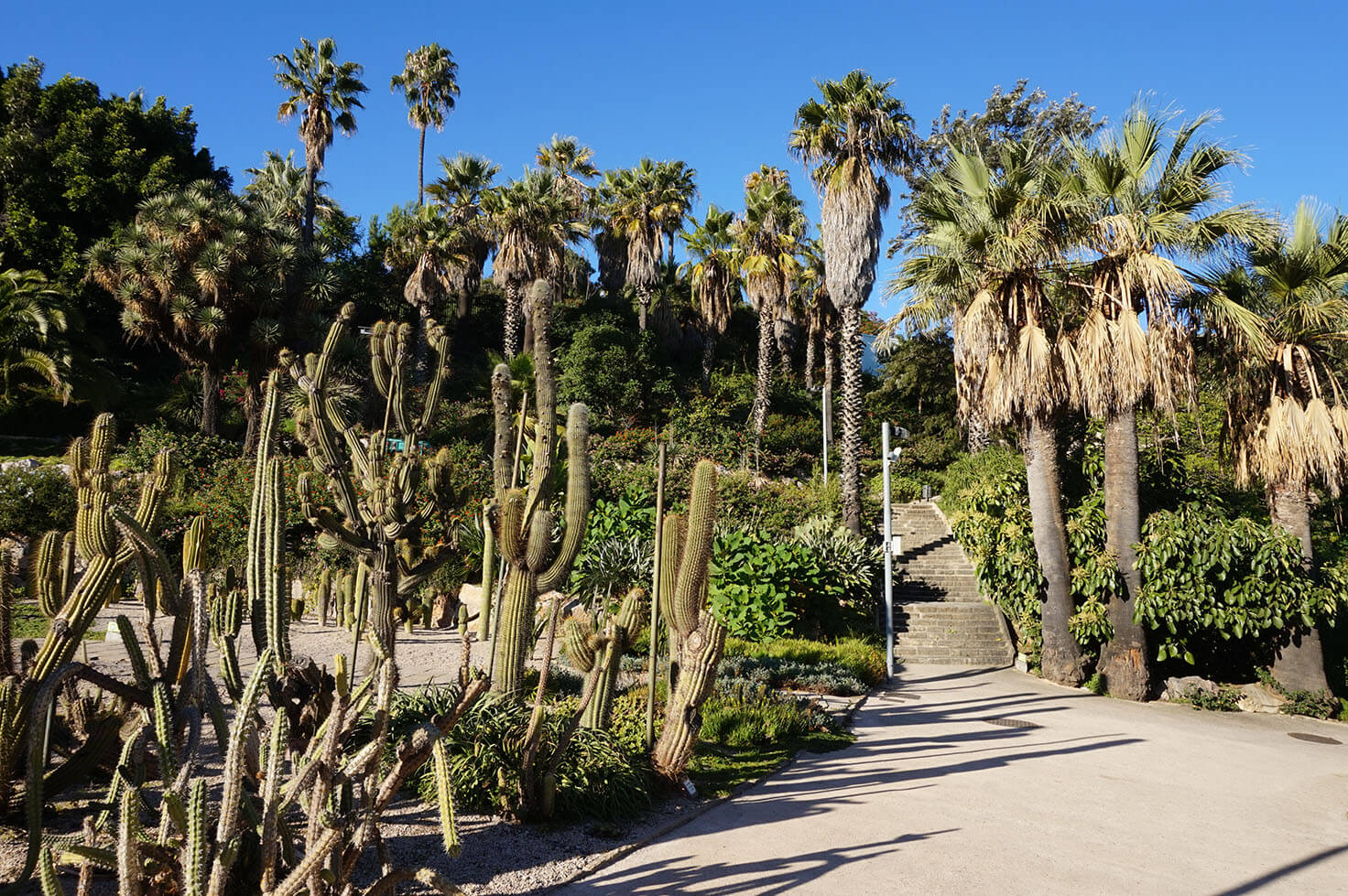 Jardins de Mossèn Costa i Llobera 