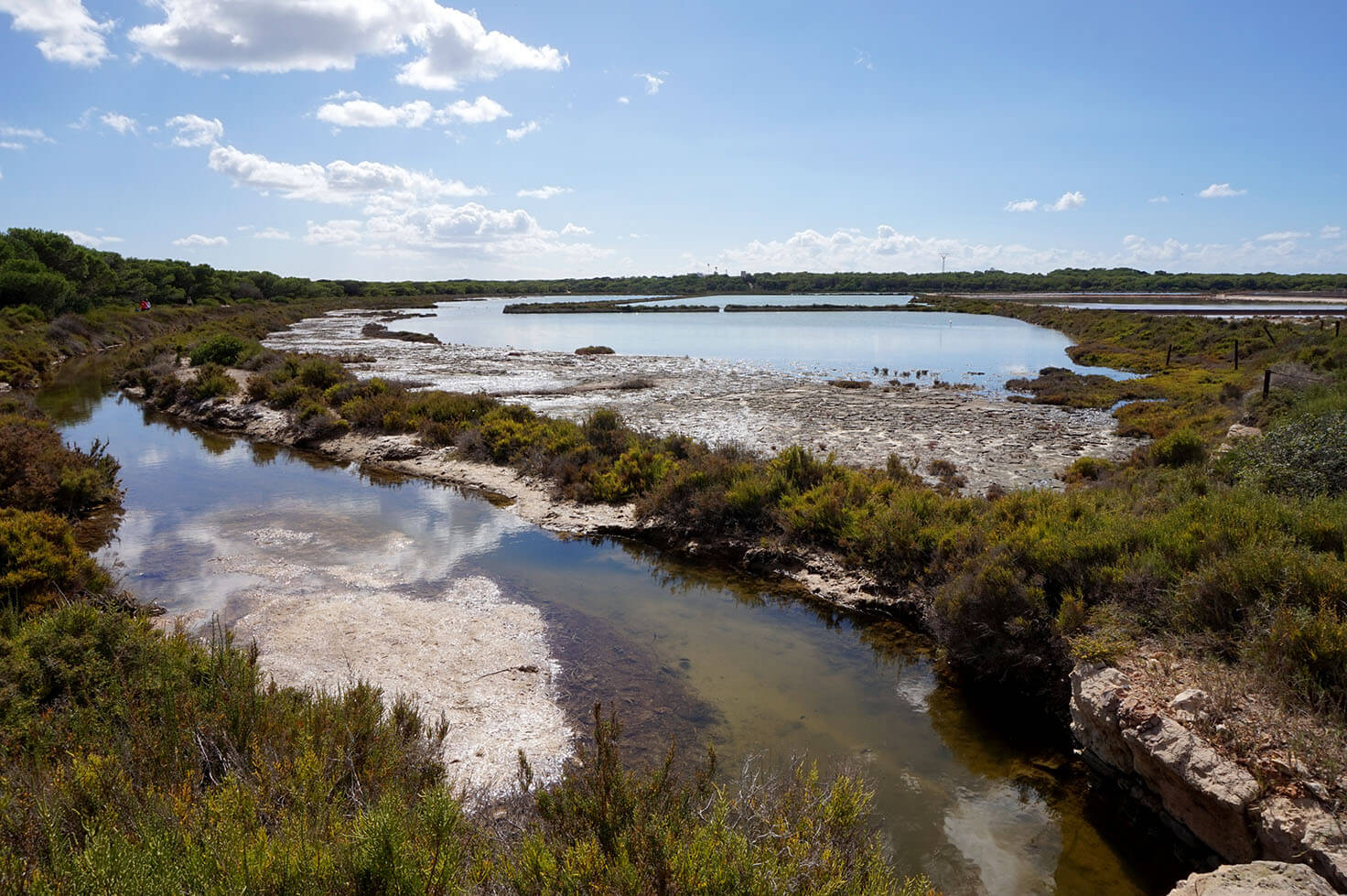 Ses Salines