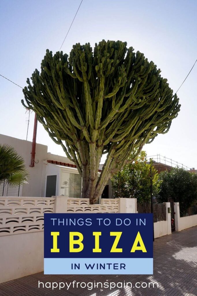 Ibiza in Winter