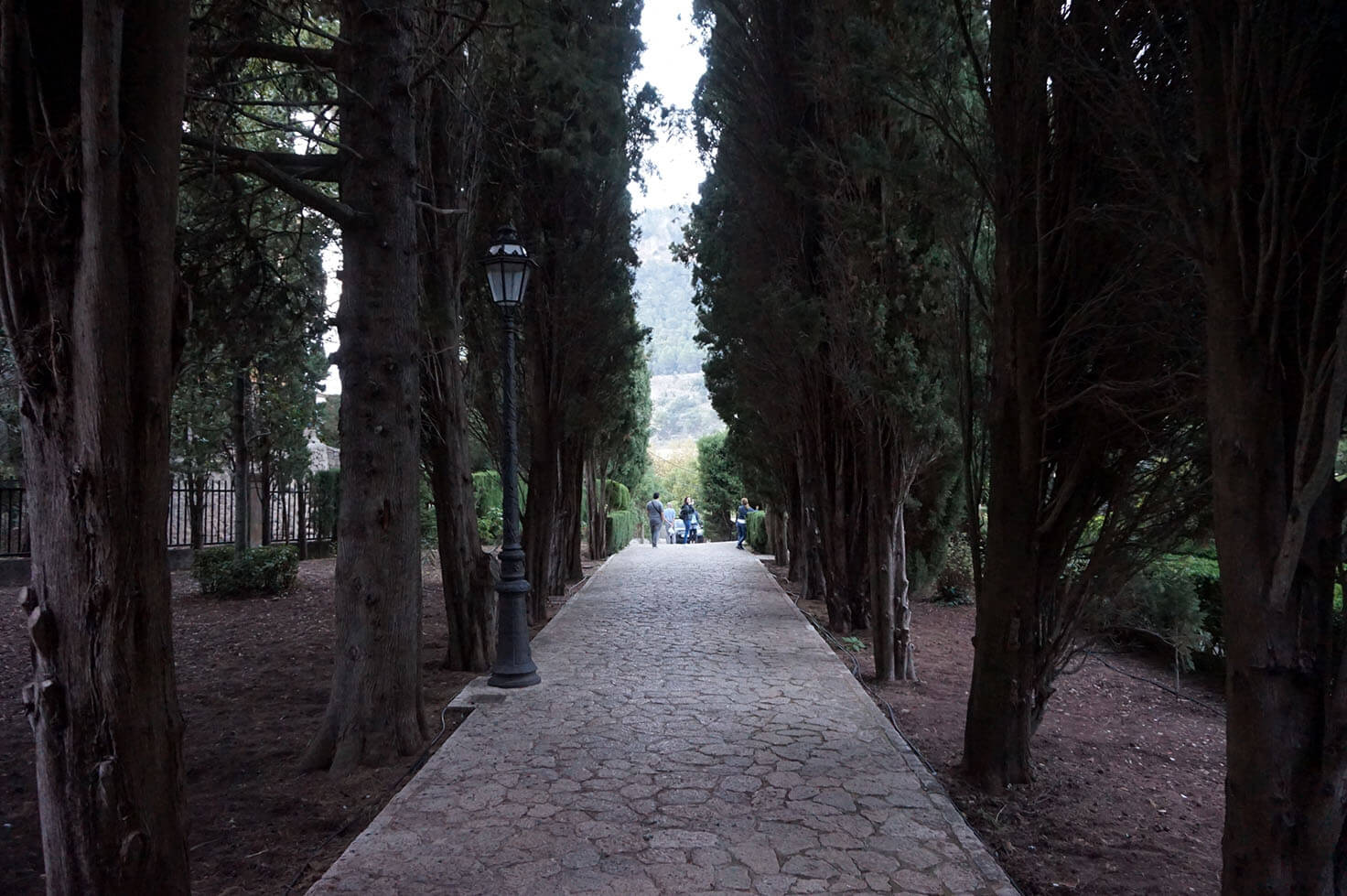 Jardins Rei Joan Carles