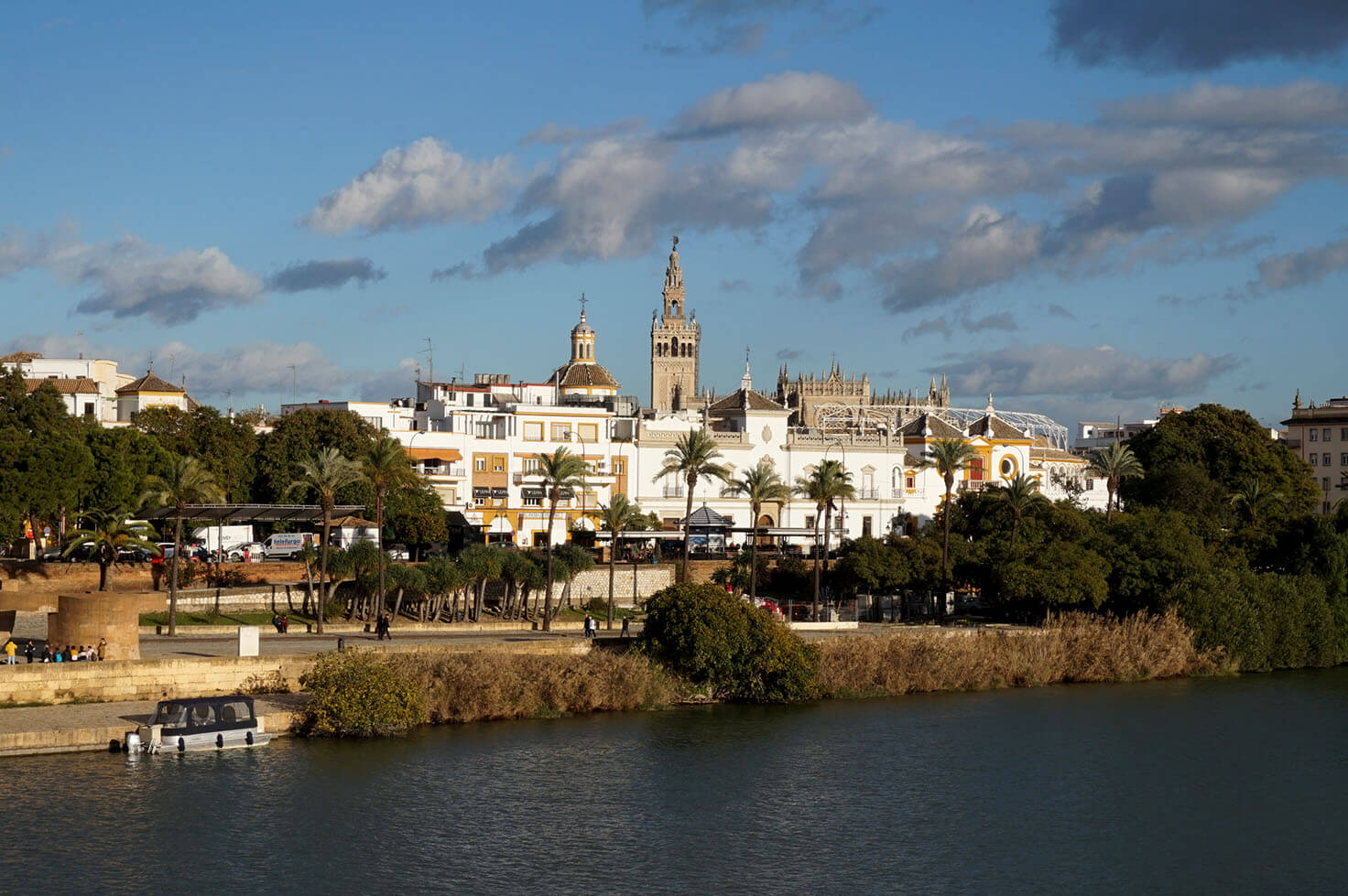 Seville seen from the River